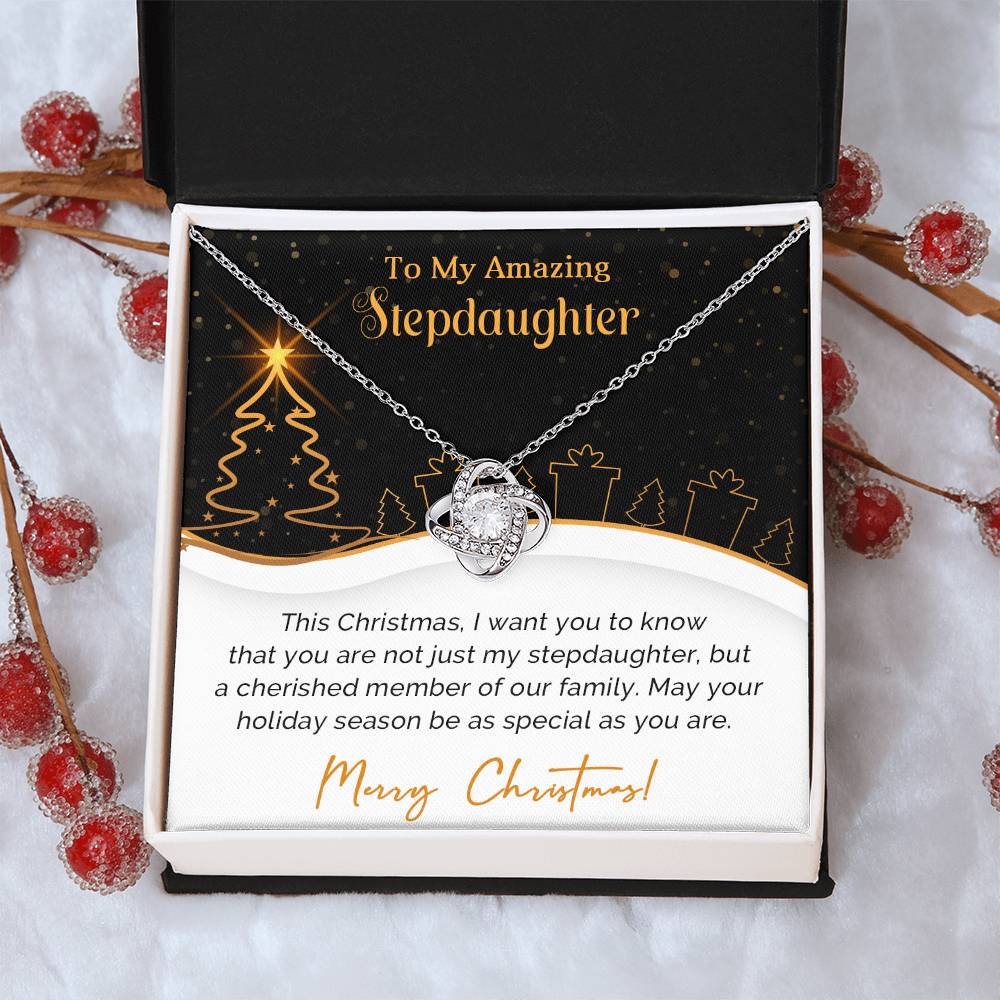 To My Wonderful Stepdaughter Christmas Necklace Gift A1025