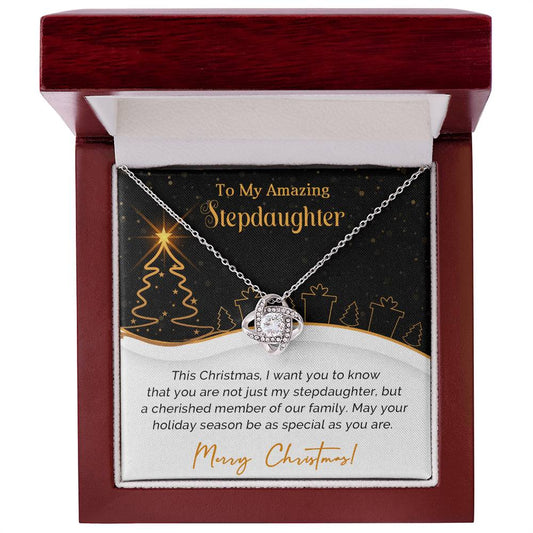 To My Wonderful Stepdaughter Christmas Necklace Gift A1025