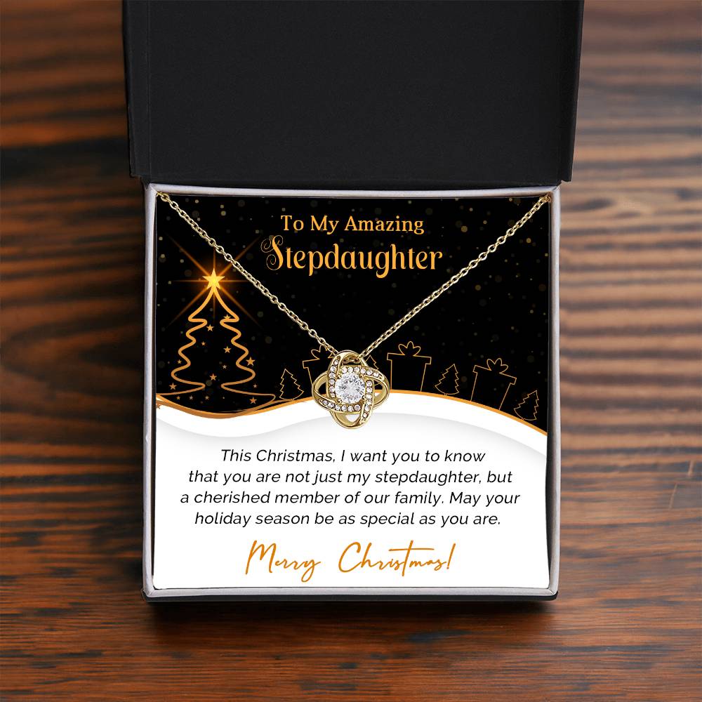 To My Wonderful Stepdaughter Christmas Necklace Gift A1025