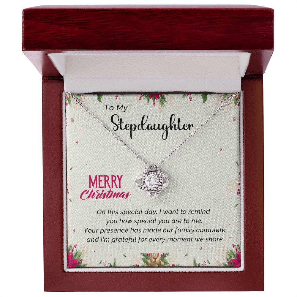 Stepdaughter's Merry Christmas Jewelry Gift A1027