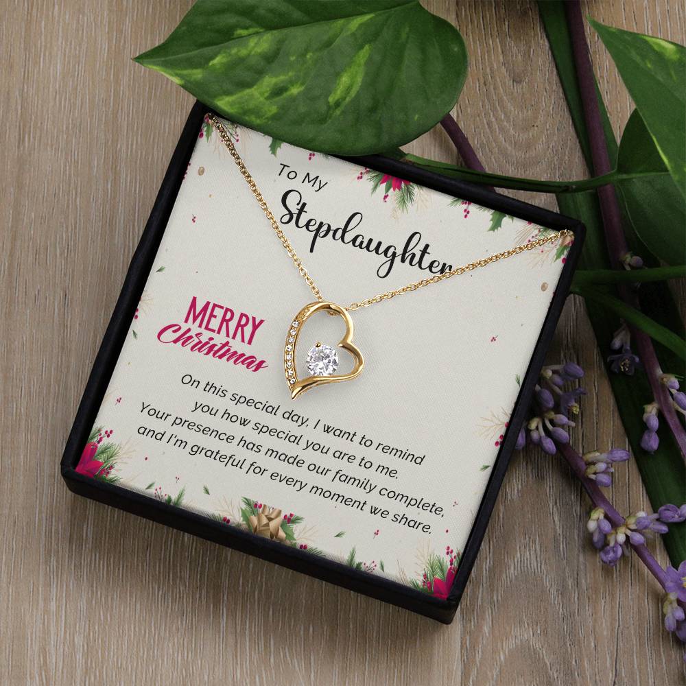 Stepdaughter's Merry Christmas Jewelry Gift A1027