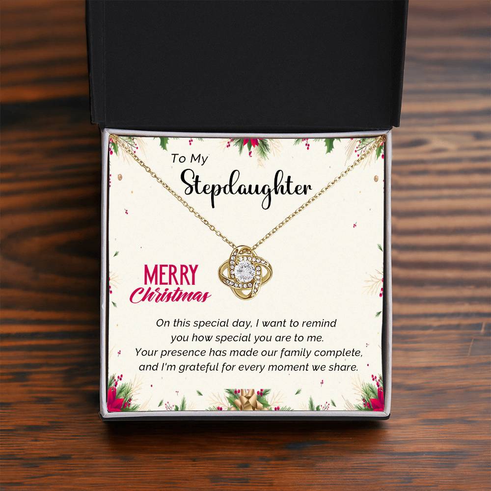 Stepdaughter's Merry Christmas Jewelry Gift A1027