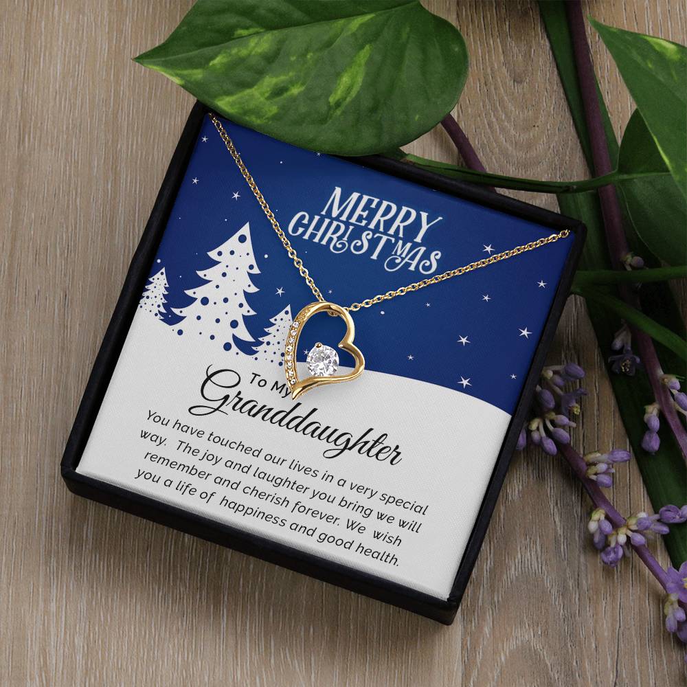 Personalized Christmas Necklace for Granddaughter – Celebrate with Love A1040