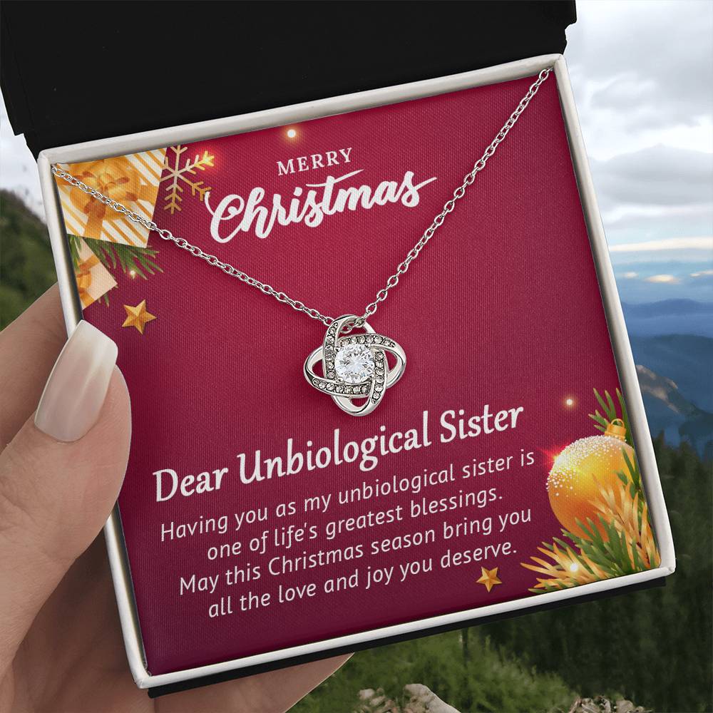 Unbiological Sister Christmas Gift – Necklace That Shows Our Bond A1062