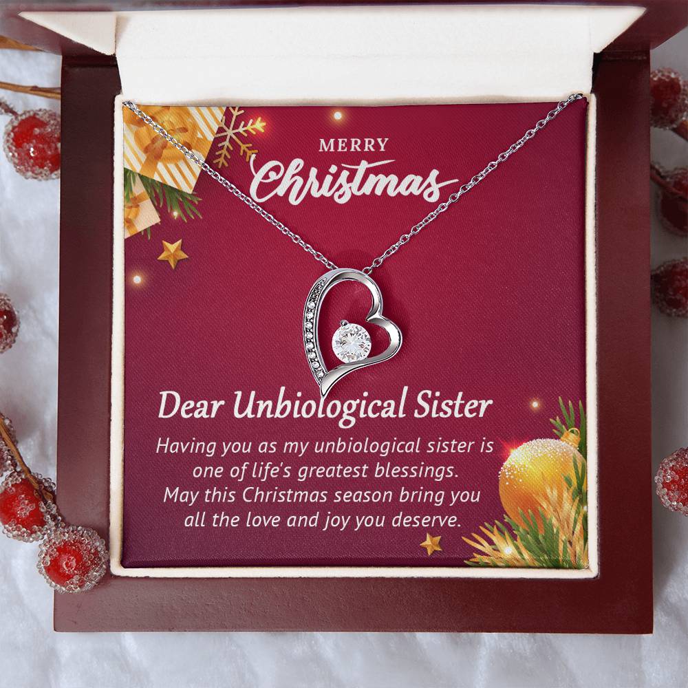 Unbiological Sister Christmas Gift – Necklace That Shows Our Bond A1062