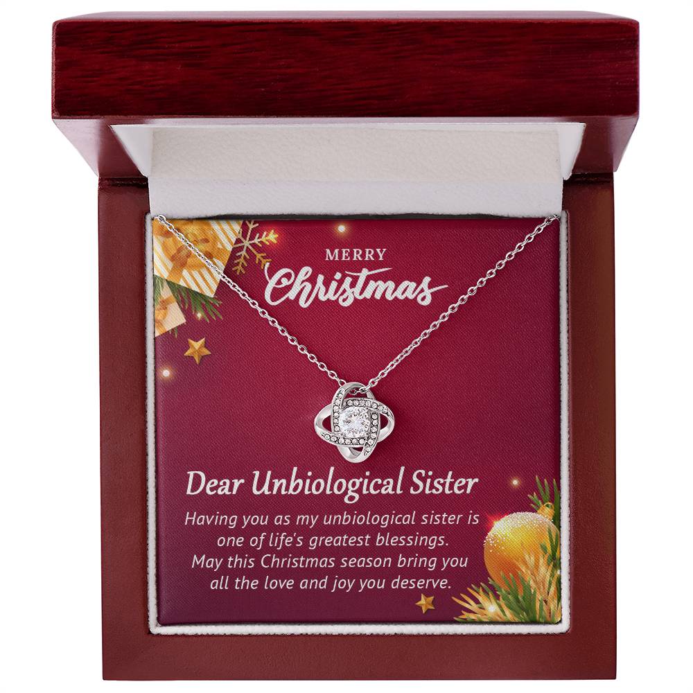 Unbiological Sister Christmas Gift – Necklace That Shows Our Bond A1062