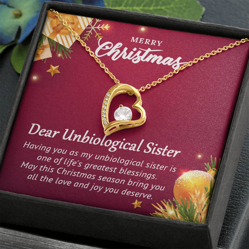 Unbiological Sister Christmas Gift – Necklace That Shows Our Bond A1062